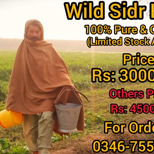 100% Pure Wild Sidr(بیری )Honey